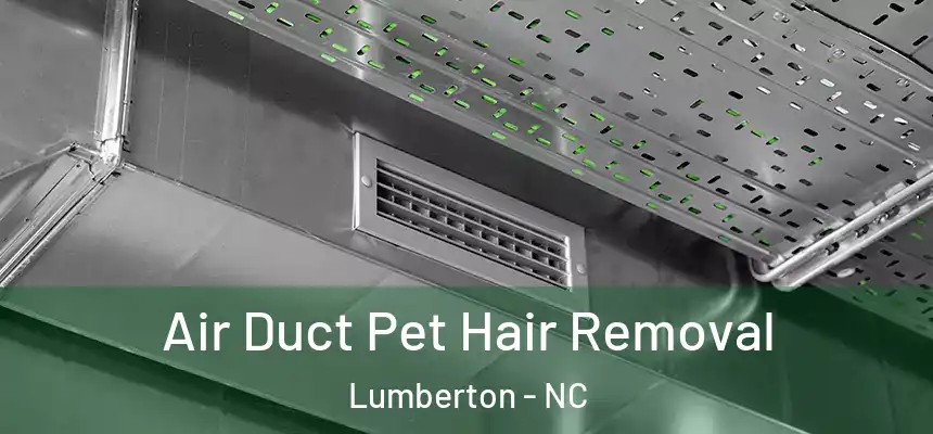  Air Duct Pet Hair Removal Lumberton - NC