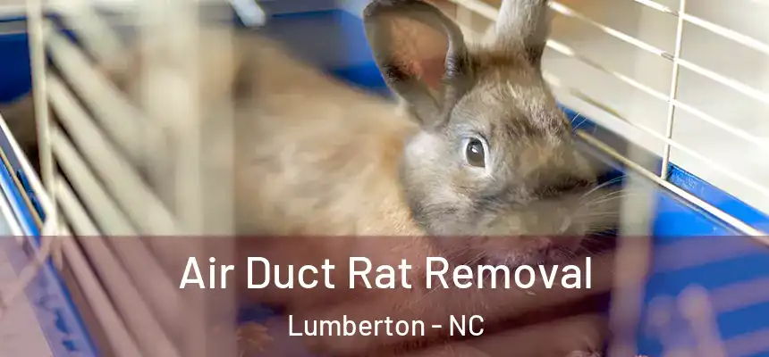 Air Duct Rat Removal Lumberton - NC