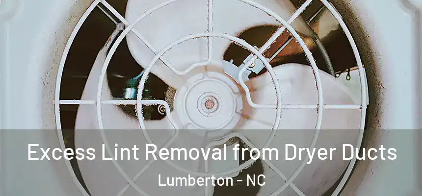  Excess Lint Removal from Dryer Ducts Lumberton - NC