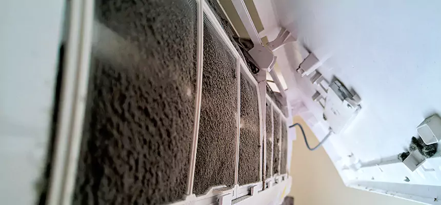 Preventive Air Duct Bacteria Removal in Lumberton