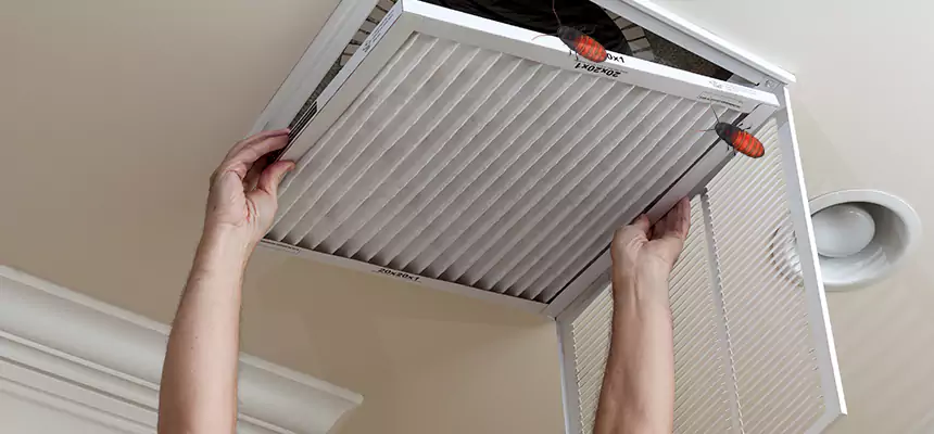 Preventive Cockroach-Proofing for Ducts in Lumberton