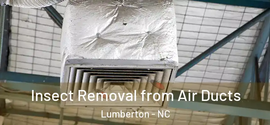  Insect Removal from Air Ducts Lumberton - NC