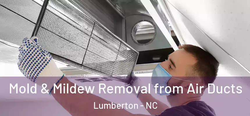  Mold & Mildew Removal from Air Ducts Lumberton - NC