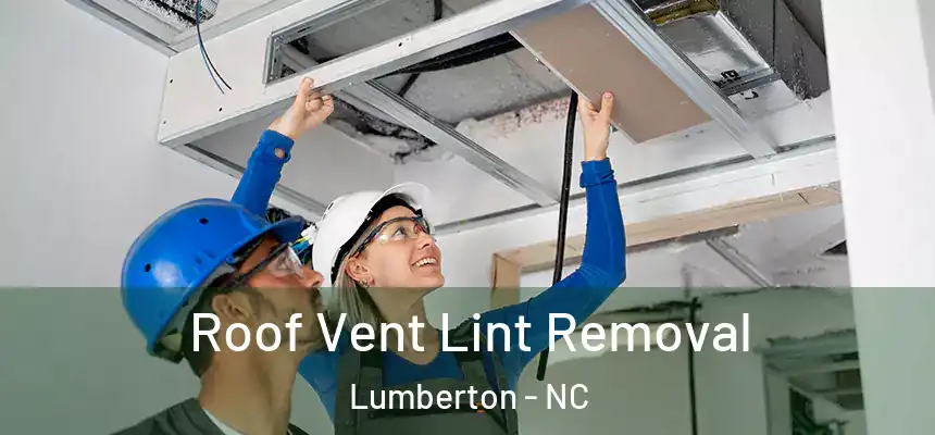  Roof Vent Lint Removal Lumberton - NC