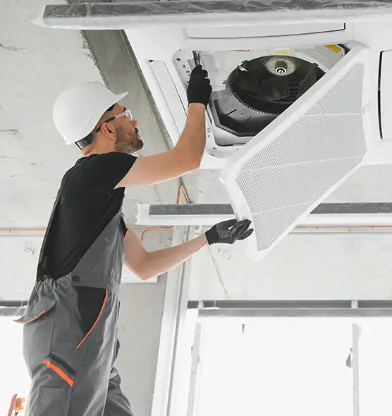 About Air Duct Rodent Removal in Lumberton, NC