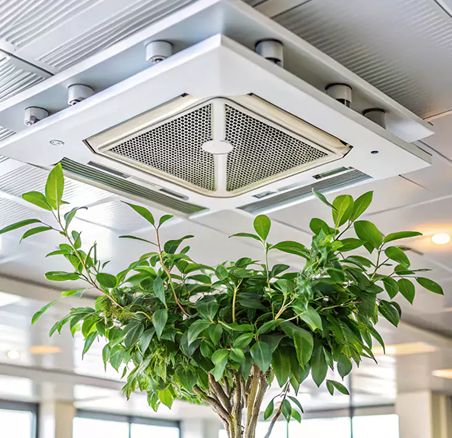 Why Homeowners & Businesses Trust Us in Lumberton, NC?