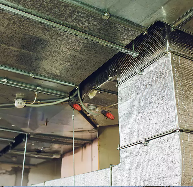 Why Homeowners & Businesses Trust Us Lumberton, NC?